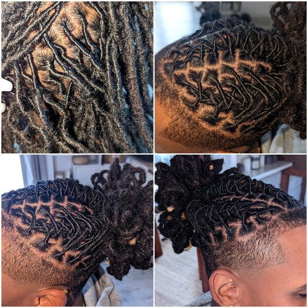 Reprise racines Twist