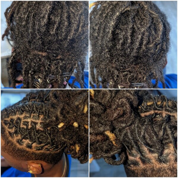 Reprise racines Twist