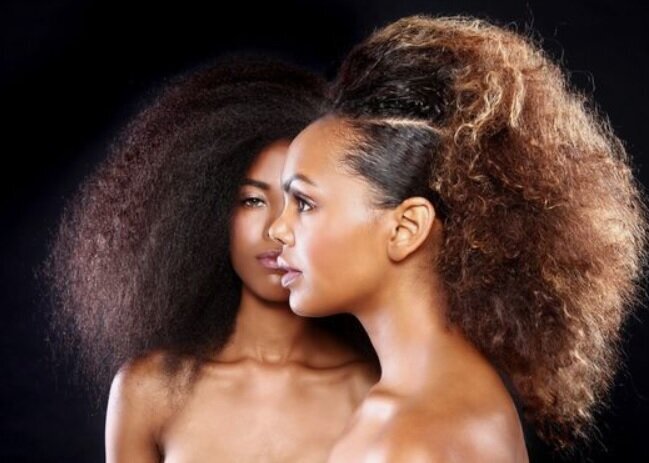 LE MARCHÉ AFRO EN FRANCE