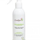 Spray Hydratant et Assainissant 250 ml Carolina B