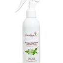 Tonique Capillaire Régulateur de pH 250 ml Carolina B